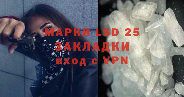 индика Беломорск