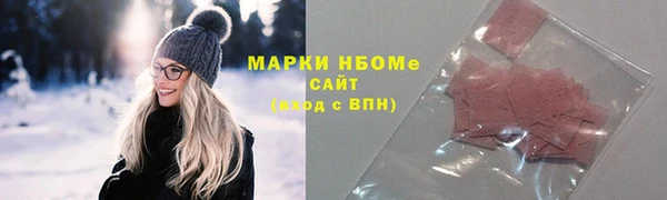 индика Беломорск