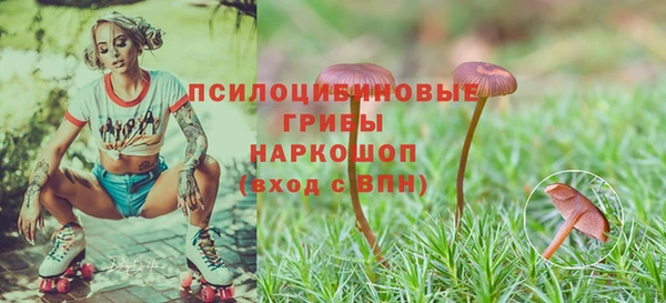 индика Беломорск