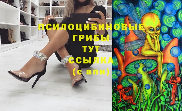дживик Арсеньев